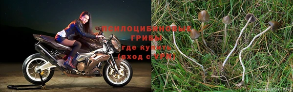 кокаин колумбия Бугульма