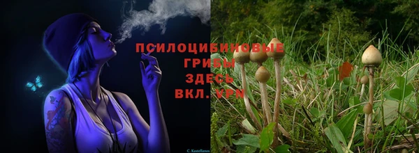 шишки Бронницы