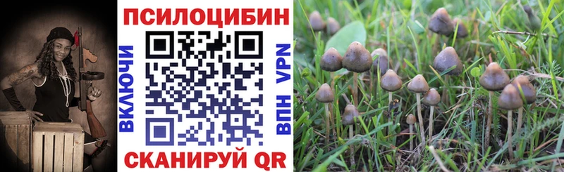Галлюциногенные грибы Psilocybine cubensis Кириллов
