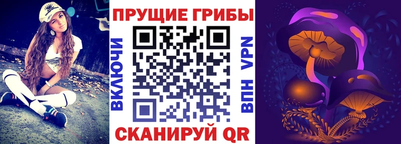 Галлюциногенные грибы MAGIC MUSHROOMS  Кириллов 